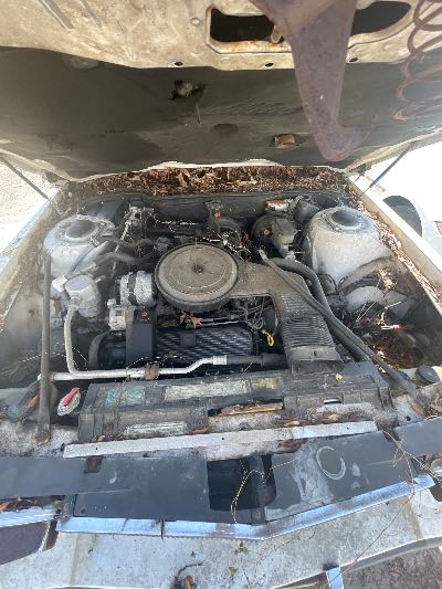 1986 Cadillac Deville Location - GM - Row 40 - Stock # H51671