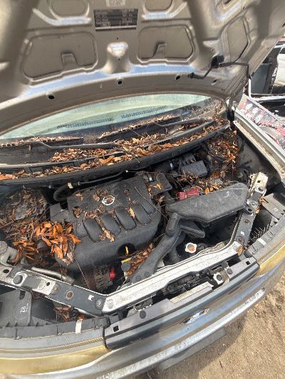 2009 Nissan cube Location - Imports - Row 19 - Stock # H52191