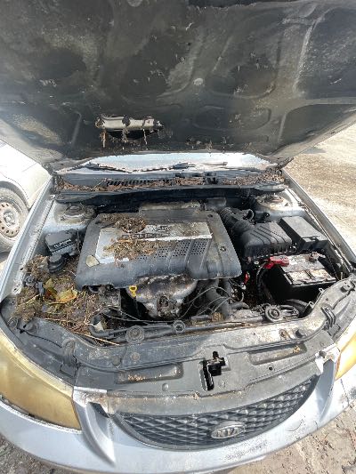 2006 Kia Spectra5 Location - Imports - Row 23 - Stock # H51388