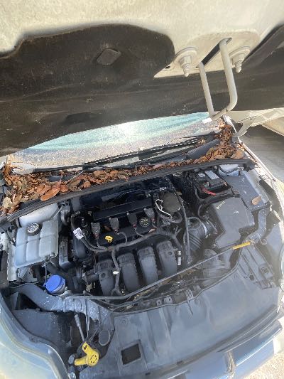 2014 Ford Focus Location - Ford - Row 27 - Stock # H52430