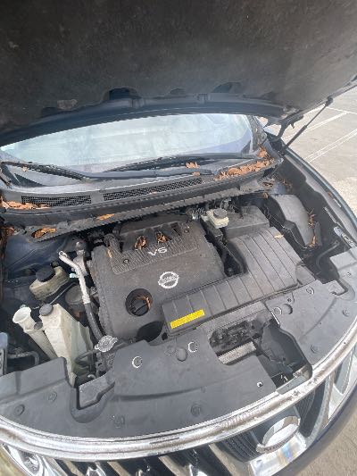 2009 Nissan Murano Location - Imports - Row 31 - Stock # H52617