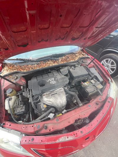 2010 Toyota Camry Location - Imports - Row 22 - Stock # H53037