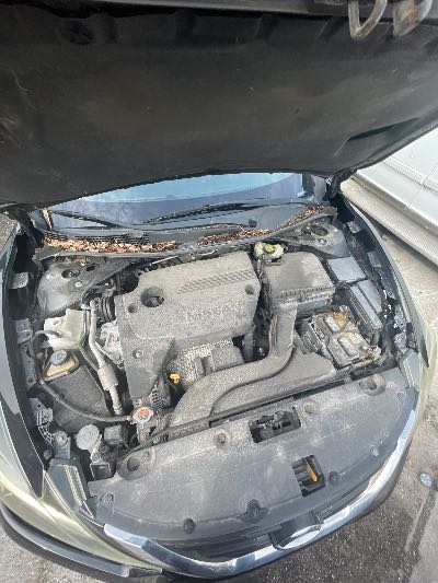 2016 Nissan Altima Location - Imports - Row 2 - Stock # H53227