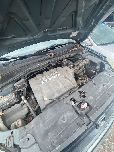 2005 Honda Pilot Location - Imports - Row 7 - Stock # H53376