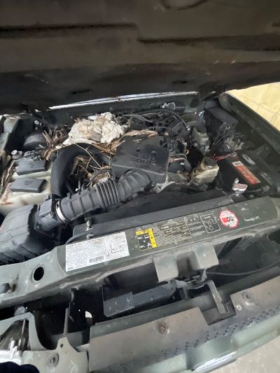 2003 Ford Explorer Sport Trac Location - Ford - Row 27 - Stock # H53495