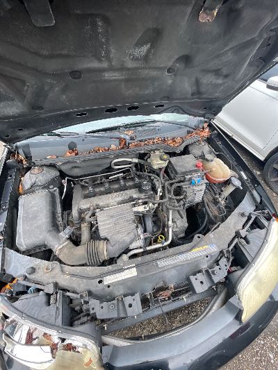 2007 Saturn Ion Location - GM - Row 34 - Stock # H53513