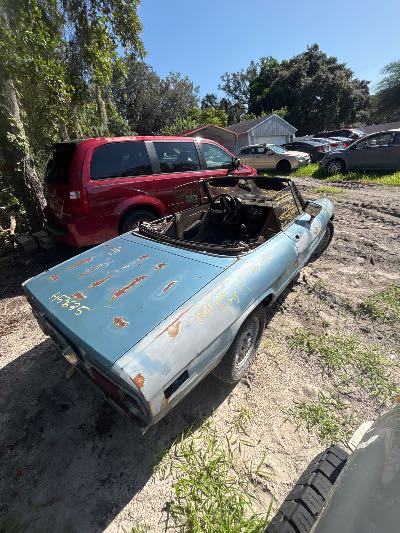 1981 Alfa Romeo Spider Veloce Location - Imports - Row 18 - Stock # H53635