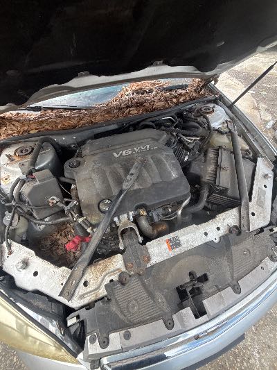 2013 Chevrolet Impala Location - GM - Row 39 - Stock # H53834