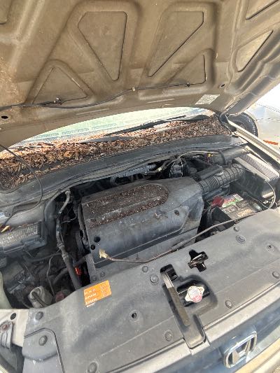 2003 Honda Pilot Location - Imports - Row 23 - Stock # H53851