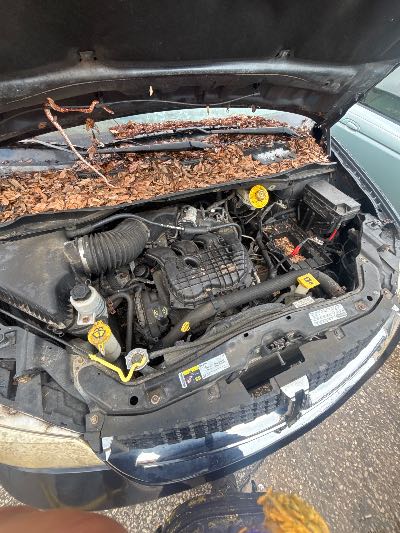 2013 Dodge Grand Caravan Location - Chrysler - Row 47 - Stock # H53856