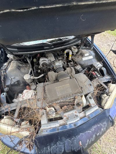 1999 Chevrolet Camaro Location - GM - Row 28 - Stock # H53301