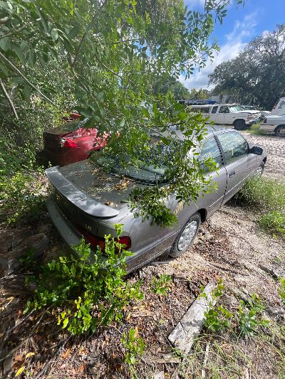 1995 Toyota Camry Location - Imports - Row 8 - Stock # H54100