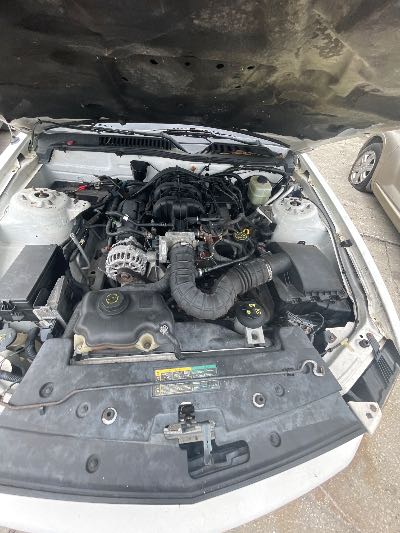 2006 Ford Mustang Location - Ford - Row 37 - Stock # H54288