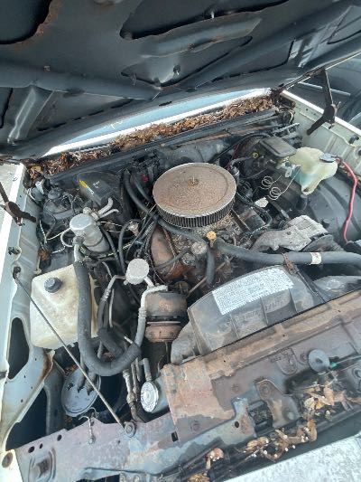 1987 Oldsmobile Cutlass Supreme Location - GM - Row 31 - Stock # H54336