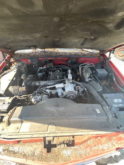 1996 GMC Sierra C/K 2500 Location - Large Trucks & Vans - Row 25 - Stock # H49156