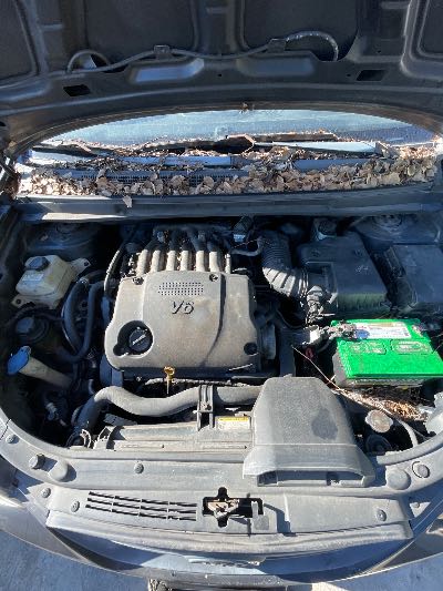 2008 Kia Rondo Location - Imports - Row 1 - Stock # H49290