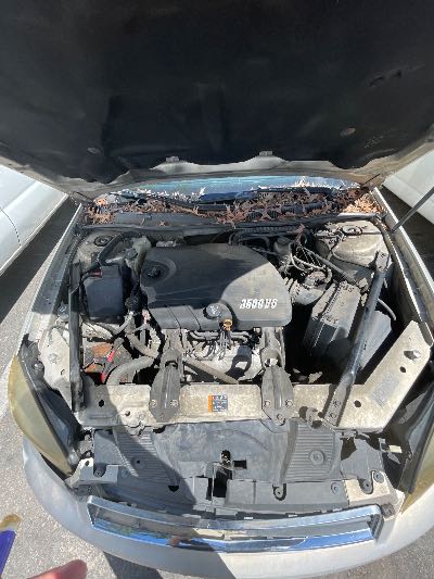 2011 Chevrolet Impala Location - GM - Row 26 - Stock # H49460