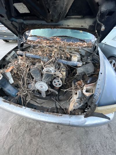 2000 Dodge Dakota Location - Large Trucks & Vans - Row 31 - Stock # H49640