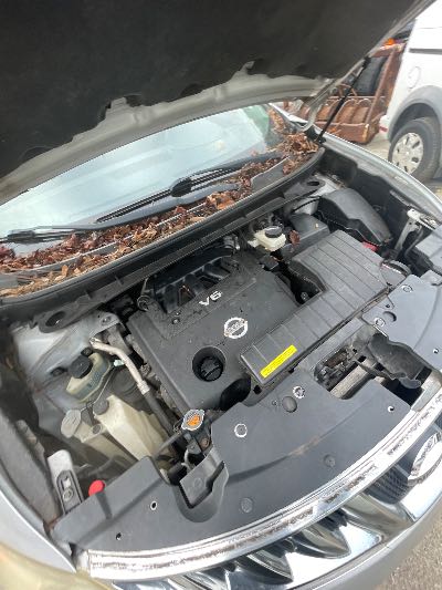 2009 Nissan Murano Location - Imports - Row 5 - Stock # H54153