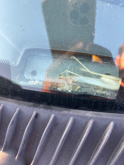 1999 Ford Econoline Location - Large Trucks & Vans - Row 49 - Stock # H49389