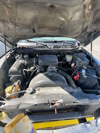 2006 Dodge Dakota Location - Large Trucks & Vans - Row 50 - Stock # H49856