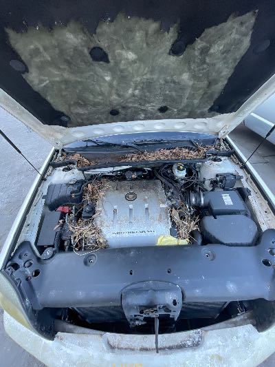 2004 Cadillac Deville Location - GM - Row 31 - Stock # H49870