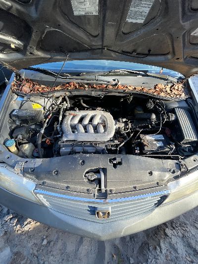 1999 Honda Odyssey Location - Imports - Row 14 - Stock # H50471