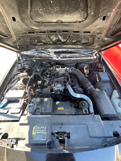 2004 Ford Crown Victoria Location - Ford - Row 31 - Stock # H50490