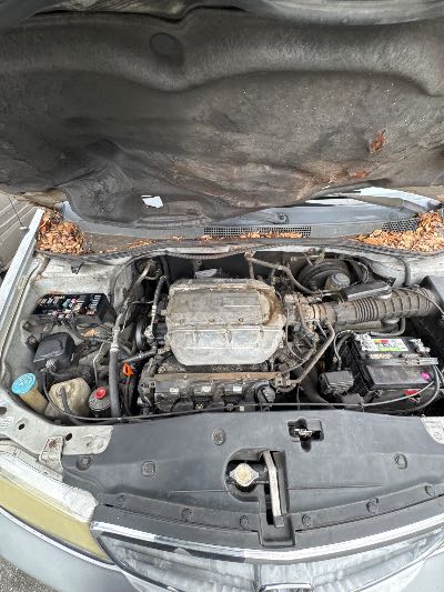 2003 Honda Odyssey Location - Imports - Row 43 - Stock # H49240