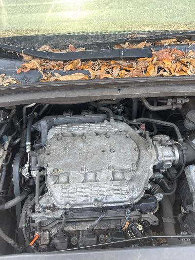 2005 Honda Odyssey Location - Imports - Row 2 - Stock # H47612