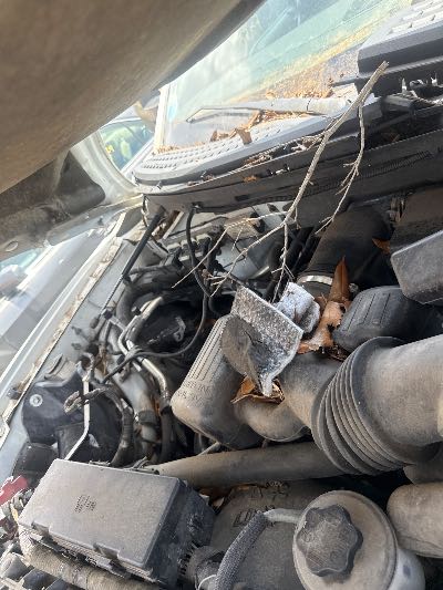 2009 Ford F-150 Location - Large Trucks & Vans - Row 48 - Stock # H48380