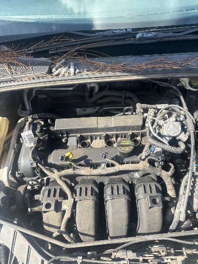 2012 Ford Focus Location - Ford - Row 28 - Stock # H48646