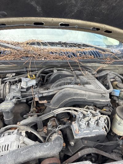 2002 Ford Explorer Location - Ford - Row 28 - Stock # H48675