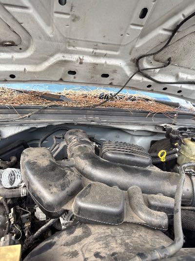 2010 Ford F-250 Location - Large Trucks & Vans - Row 21 - Stock # H48668