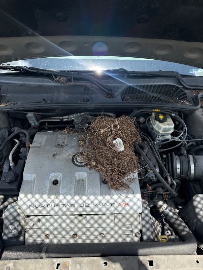 2003 Cadillac DeVille Location - GM - Row 36 - Stock # H48542