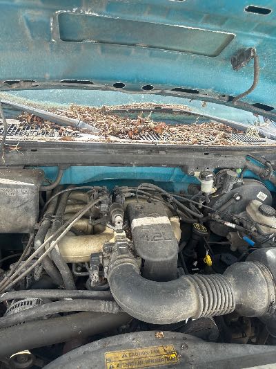 1998 Ford F-150 Location - Large Trucks & Vans - Row 21 - Stock # H48864