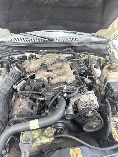 1999 Ford Mustang Location - Ford - Row 29 - Stock # H48877