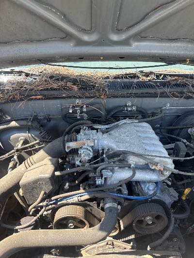 1996 Toyota T100 Location - Large Trucks & Vans - Row 23 - Stock # H48859