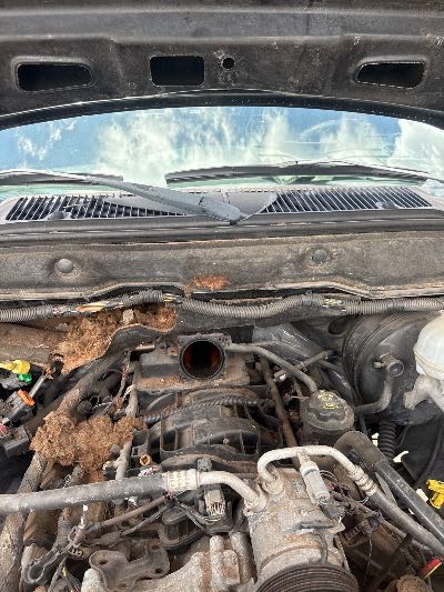 2002 Dodge Ram 1500 Location - Large Trucks & Vans - Row 20 - Stock # H47584