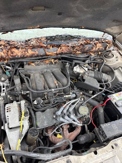 2005 Ford Taurus Location - Ford - Row 30 - Stock # H49068