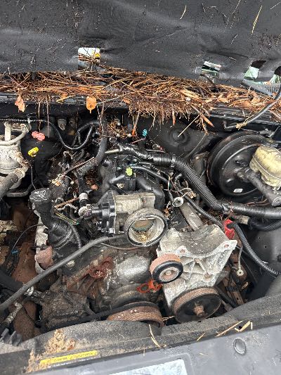 2005 GMC Sierra 1500 Location - Large Trucks & Vans - Row 26 - Stock # H48466