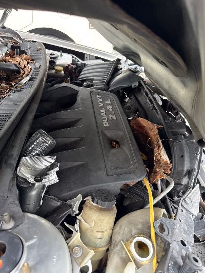 2011 Dodge Avenger Location - Chrysler - Row 44 - Stock # H49118