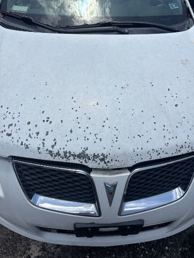 2009 Pontiac Vibe Location - GM - Row 37 - Stock # H49155