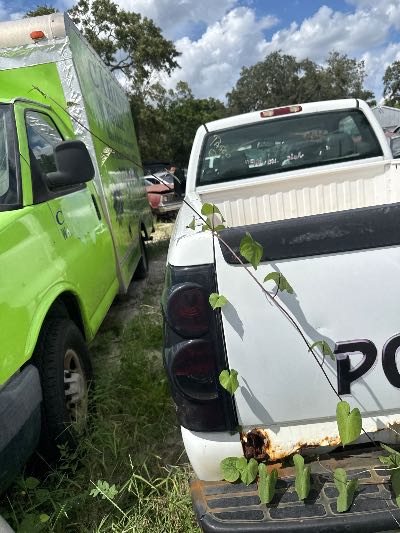 2005 Chevrolet Silverado 1500 Location - Large Trucks & Vans - Row 29 - Stock # H48584