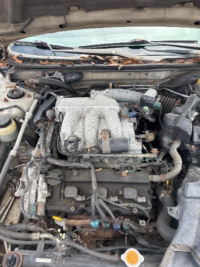 2003 Nissan Maxima Location - Imports - Row 31 - Stock # H49200