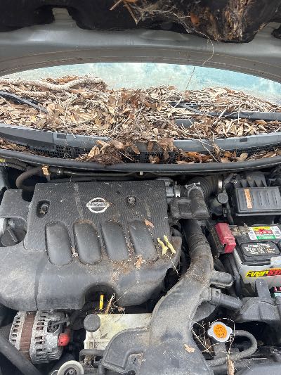 2007 Nissan Versa Location - Imports - Row 1 - Stock # H49275