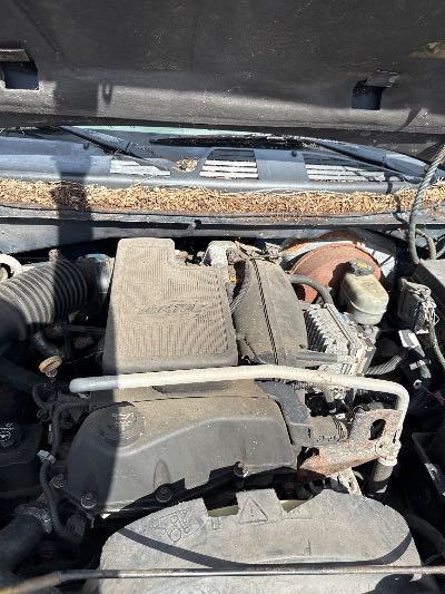 2003 Chevrolet TrailBlazer Location - GM - Row 41 - Stock # H49304