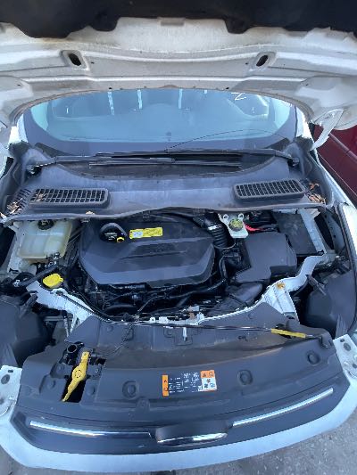 2013 Ford Escape Location - Ford - Row 36 - Stock # H50597