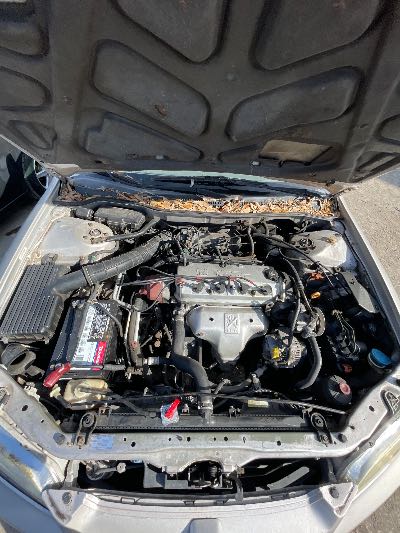 1998 Honda Accord Location - Imports - Row 5 - Stock # H50847