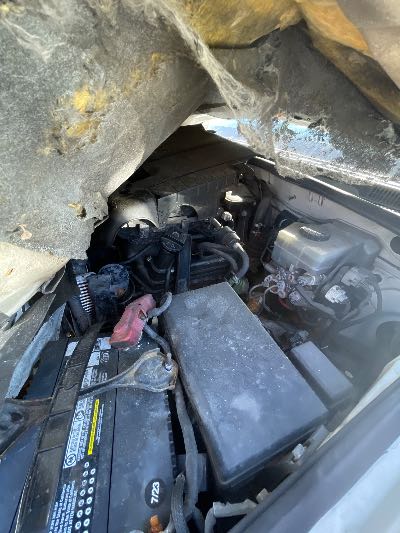 2004 Toyota 4Runner Location - Imports - Row 8 - Stock # H50912